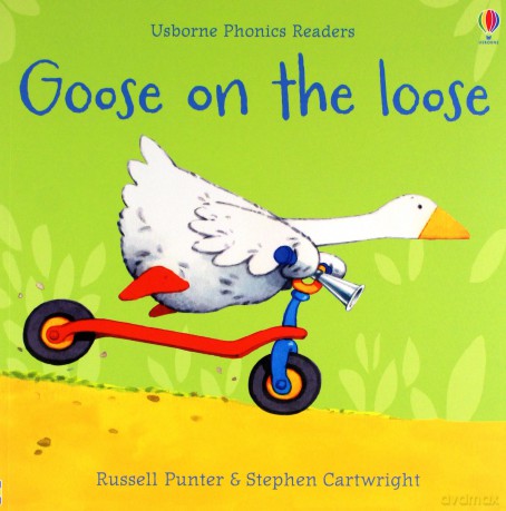 Goose On The Loose (Phonics Readers): 1 - Russell Punter [KSIĄŻKA]
