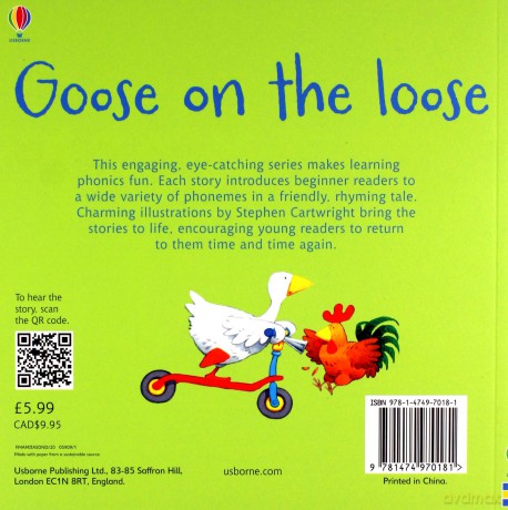 Goose On The Loose (Phonics Readers): 1 - Russell Punter [KSIĄŻKA]