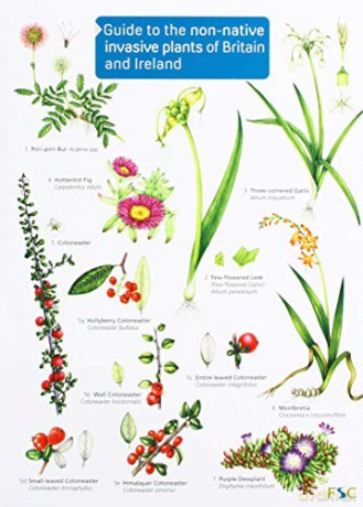 Guide to the non-native invasive plants of Britain and Ireland - Rebecca Farley-Brown [KSIĄŻKA]