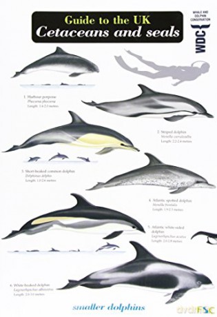 Guide to the UK Cetaceans and Seals - Mark Peter Simmonds [KSIĄŻKA]