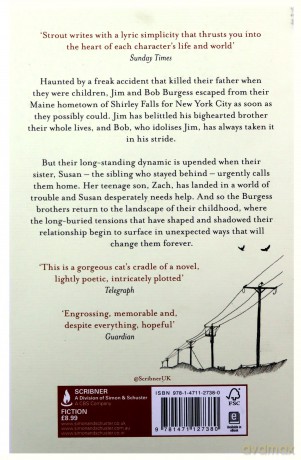 The Burgess Boys - Elizabeth Strout [KSIĄŻKA]