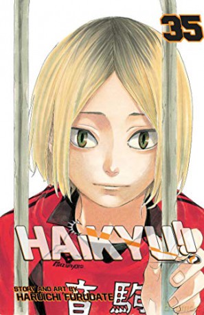 Haikyu!! 35: Birdcage: Volume 35 - Haruichi Furudate [KSIĄŻKA]