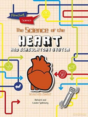 Flowchart Science: The Human Body: The Heart - Louise Spilsbury [KSIĄŻKA]