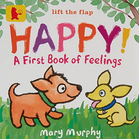 Happy!: A First Book of Feelings: 1 Baby Walker - Mary Murphy [KSIĄŻKA]