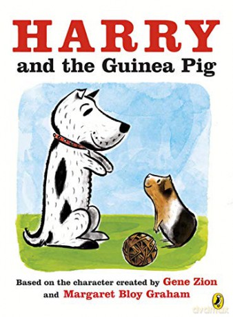 Harry and the Guinea Pig - Gene Zion [KSIĄŻKA]