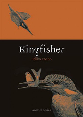 Kingfisher (Animal) - Ildiko Szabo [KSIĄŻKA]