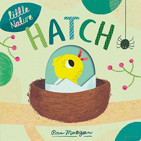 Hatch Little Nature - Isabel Otter [KSIĄŻKA]