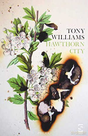 Hawthorn City Salt Modern Poets - Tony Williams [KSIĄŻKA]