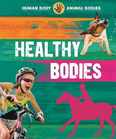 Healthy Bodies Human Body, Animal Bodies - Izzi Howell [KSIĄŻKA]