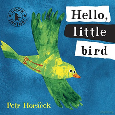 Hello, Little Bird Look Inside - Petr Horacek [KSIĄŻKA]
