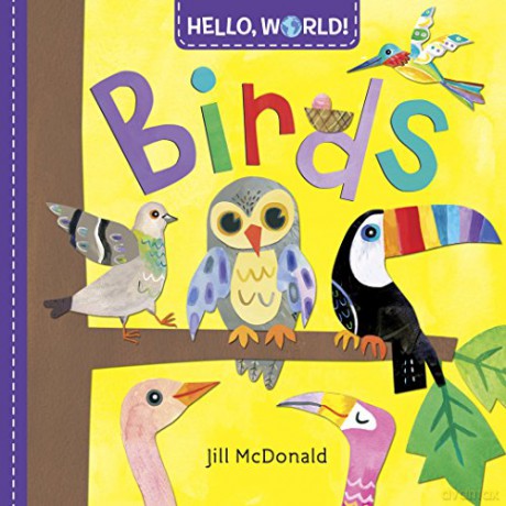 Hello, World! Birds - Jill McDonald [KSIĄŻKA]