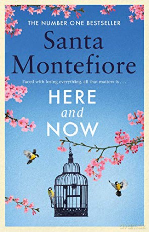 Here and Now: Evocative, emotional and full of life, the most moving book you'll read this year [KSIĄŻKA]