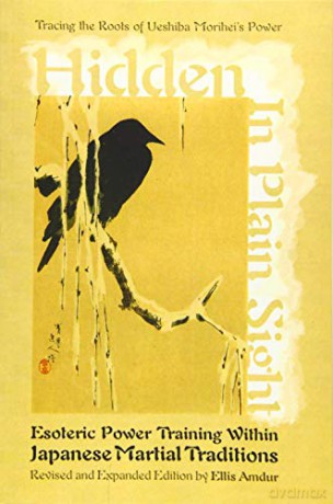 Hidden in Plain Sight: Esoteric Power Training within Japanese Martial Traditions Revised and Expanded Edition - Ellis Amdur [KSIĄŻKA]