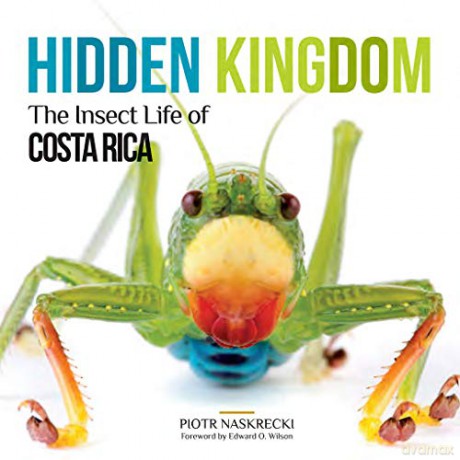 Hidden Kingdom: The Insect Life of Costa Rica Zona Tropical Publications - Piotr Naskrecki [KSIĄŻKA]