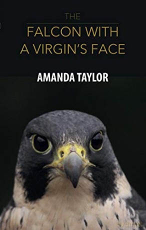 The Falcon With A Virgin's Face - Amanda Taylor [KSIĄŻKA]