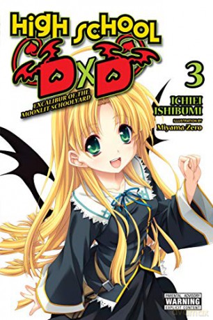 High School DxD, Vol. 3 light novel: Excalibur of the Moonlit Schoolyard High School DXD Light Novel - Ichiei Ishibumi [KSIĄŻKA]