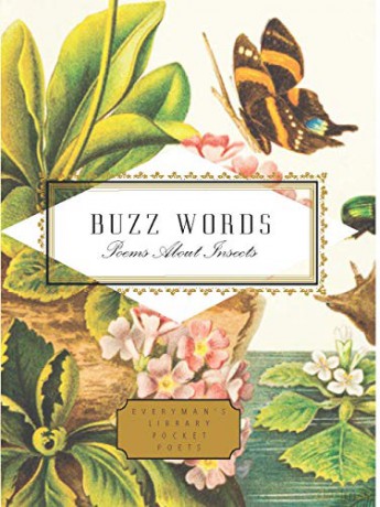 Buzz Words: Poems About Insects (Everyman's Library Pocket Poets) - Howard Schechter [KSIĄŻKA]