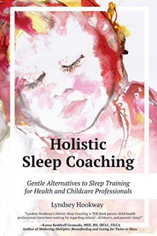 Holistic Sleep Coaching: Gentle Alternatives to Sleep Training for Health and Childcare Professionals - Lyndsey Hookway [KSIĄŻKA]