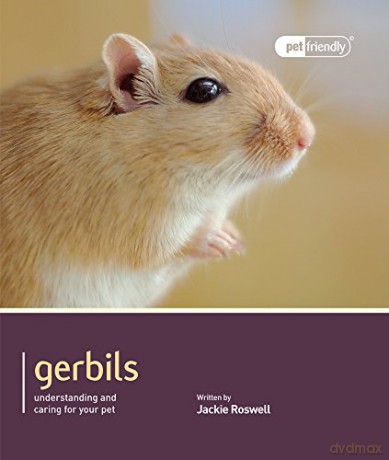 Gerbils - Pet Friendly: Understanding And Caring For Your Pet - Jackie Roswell [KSIĄŻKA]