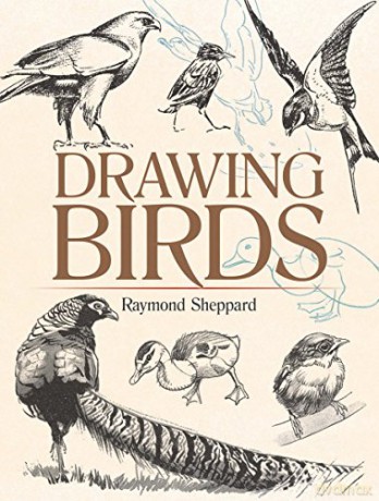 Drawing Birds (Dover Art Instruction) [KSIĄŻKA]