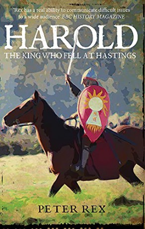 Harold: The King Who Fell At Hastings - Peter Rex [KSIĄŻKA]