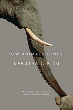 How Animals Grieve - Barbara J. King [KSIĄŻKA]