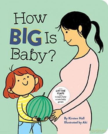 How Big Is Baby - Kirsten Hall [KSIĄŻKA]
