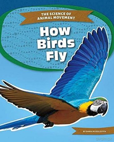 How Birds Fly 9781644944301 - Emma Huddleston [KSIĄŻKA]