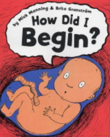 How Did I Begin - Mick Manning [KSIĄŻKA]