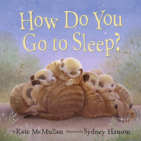 How Do You Go to Sleep - Sydney Hanson [KSIĄŻKA]