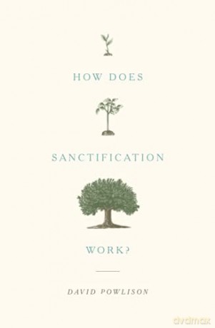 How Does Sanctification Work - David Powlison [KSIĄŻKA]