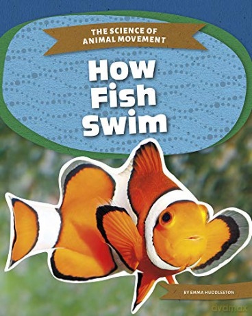 How Fish Swim 9781644944301 - Emma Huddleston [KSIĄŻKA]