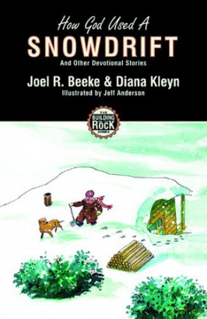 How God Used a Snowdrift Building on the Rock - Diana Kleyn [KSIĄŻKA]