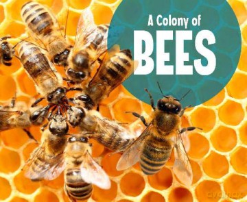 Animal Groups: A Colony Of Bees - Lucia Raatma [KSIĄŻKA]