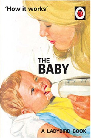 How it Works: The Baby Ladybird for Grown-Ups Ladybirds for Grown-Ups - Jason Hazeley [KSIĄŻKA]