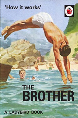 How it Works: The Brother: Ladybird For Grown-Ups Ladybirds for Grown-Ups - Jason Hazeley [KSIĄŻKA]