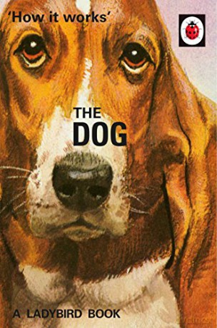 How it Works: The Dog: Ladybird For Grown-Ups Ladybirds for Grown-Ups - Jason Hazeley [KSIĄŻKA]