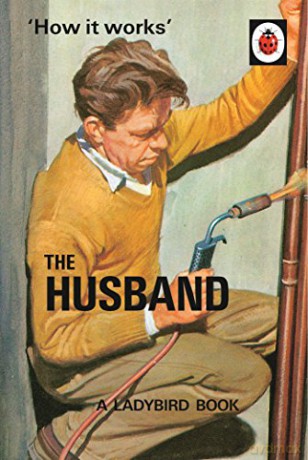 How it Works: The Husband Ladybirds for Grown-Ups - Jason Hazeley [KSIĄŻKA]