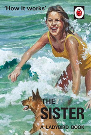 How it Works: The Sister: Ladybird For Grown-Ups Ladybirds for Grown-Ups - Jason Hazeley [KSIĄŻKA]