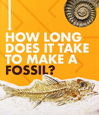 How Long Does It Take to Make a Fossil - Emily Hudd [KSIĄŻKA]
