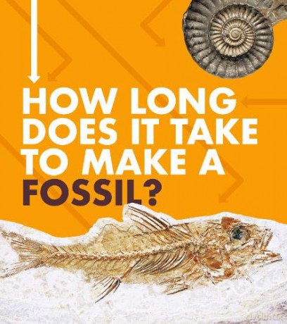 How Long Does It Take: How Long Does It Take to Make a Fossil - Emily Hudd [KSIĄŻKA]