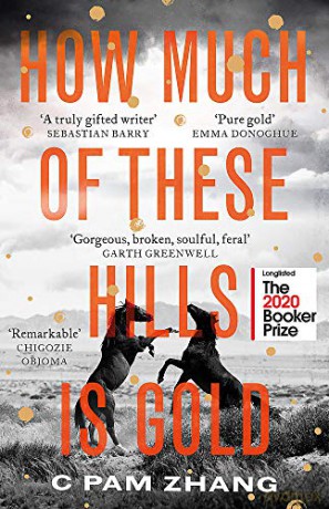 How Much of These Hills is Gold: Longlisted for the Booker Prize 2020 - C Pam Zhang [KSIĄŻKA]