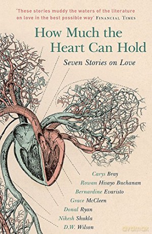 How Much the Heart Can Hold: the perfect alternative Valentine's gift: Seven Stories on Love - D.W. Wilson [KSIĄŻKA]