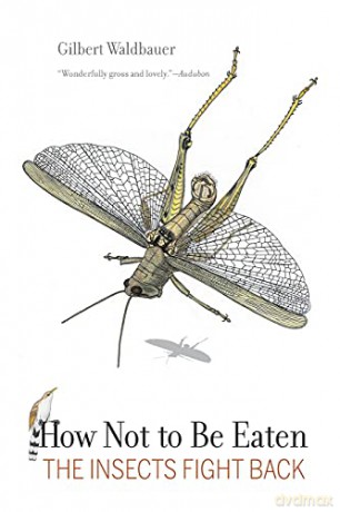 How Not to be Eaten: The Insects Fight Back - Waldbauer [KSIĄŻKA]