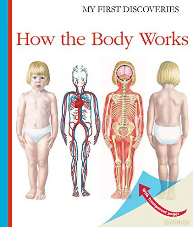 How the Body Works My First Discoveries - Sylvaine Peyrols [KSIĄŻKA]