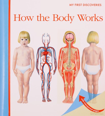 How the Body Works My First Discoveries - Sylvaine Peyrols [KSIĄŻKA]