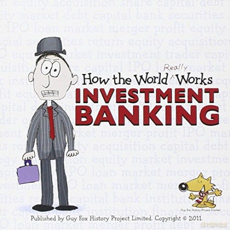 How the World Really Works: Investment Banking - Guy Fox [KSIĄŻKA]