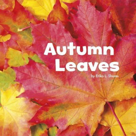 Autumn Leaves (Little Pebble: Celebrate Autumn) - Erika L. Shores [KSIĄŻKA]