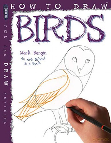 How to Draw Birds - Mark Bergin [KSIĄŻKA]