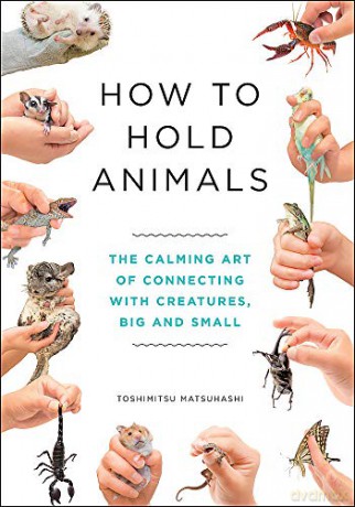 How to Hold Animals - Toshimitsu Matsuhashi [KSIĄŻKA]